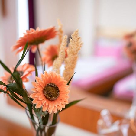 Hotel Holiday-M Ohrid Buitenkant foto